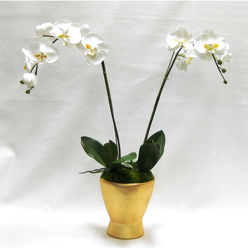 Resin Container Small Gold Leaf - White & Yellow Orchid Artificial