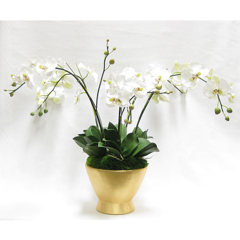 Resin Round Container Gold Leaf - White & Green Orchid Artificial - 5 Stems