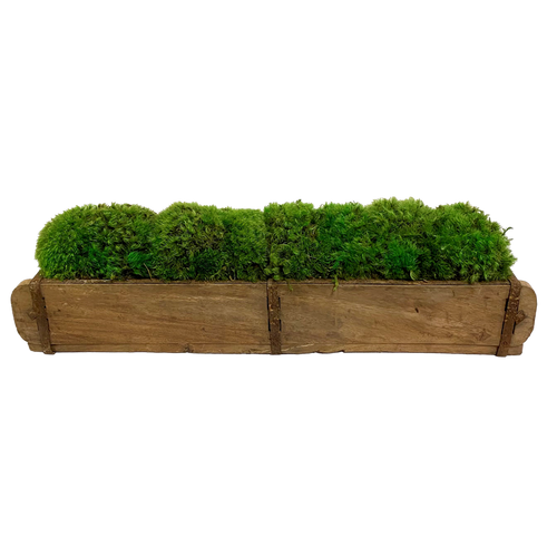 Wooden Container w/Metal Straps - Moss