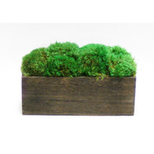 Load image into Gallery viewer, Wooden Rect Short Container Brown Stain - Preserved Moss