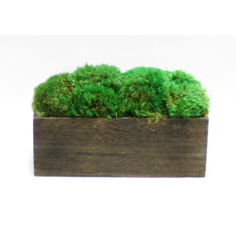 Wooden Rect Short Container Brown Stain - Preserved Moss