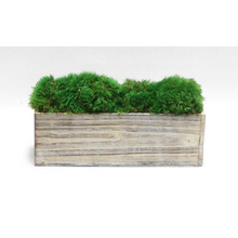 Load image into Gallery viewer, Wooden Rect Short Container White Stain - Preserved Moss