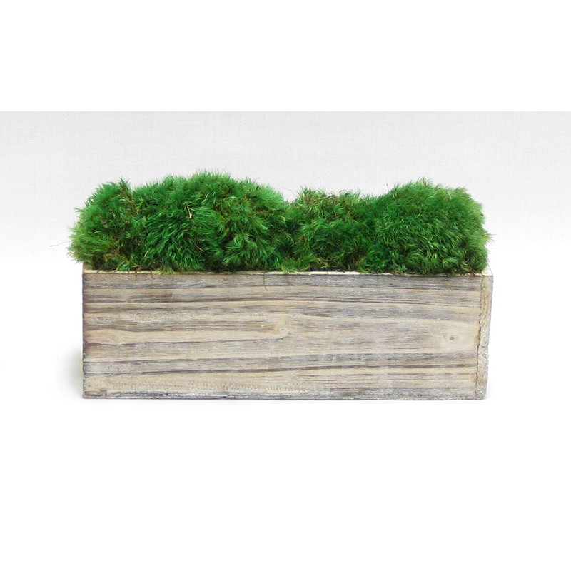 Wooden Rect Short Container White Stain - Preserved Moss