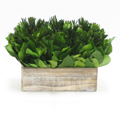 Wooden Rect Short Container White Stain - Playts & Salal