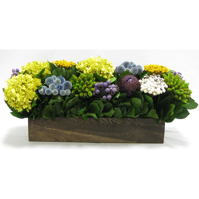 Wooden Long Container Brown Stain - Echinops w/ Banksia, Brunia, Pharalis & Hydrangea Basil..