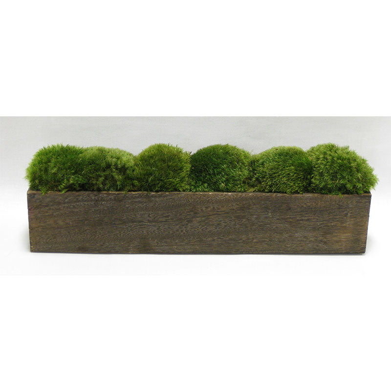 Wooden Long Container Brown Stain - Preserved Moss