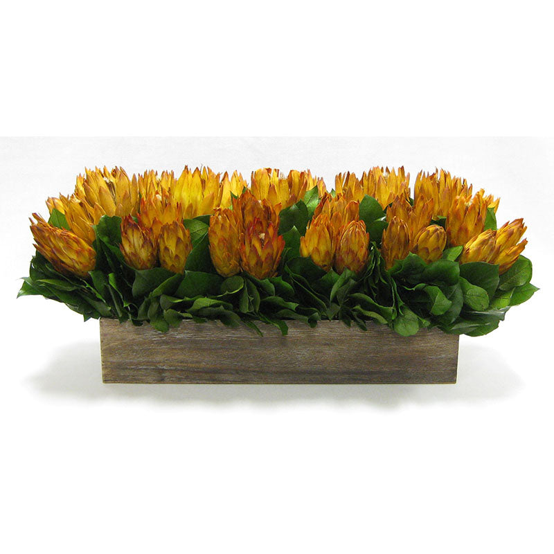 Wooden Long Container Brown Stain - Protea Yellow