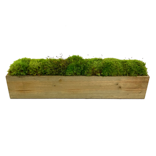 Wooden Rect Container Green - Moss