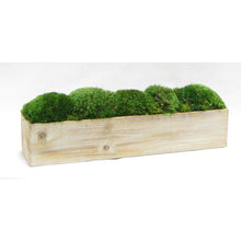 Load image into Gallery viewer, [WC20N-M] Wooden Long Container Natural - Preserved Moss
