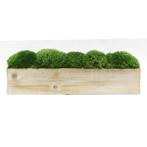 Wooden Long Container Natural - Preserved Moss