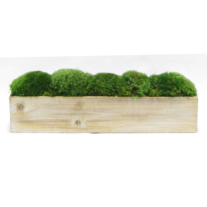 Wooden Long Container Natural - Preserved Moss