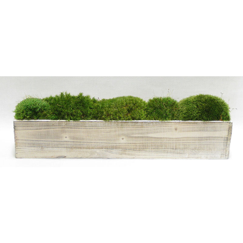 Wooden Long Container Whitewash Stain  - Preserved Moss