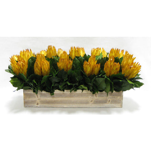 Wooden Long Container Whitewash Stain  - Protea Yellow