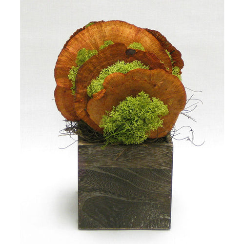 Wooden Cube Container Brown Stain - Sponge Mushrooms Orange..