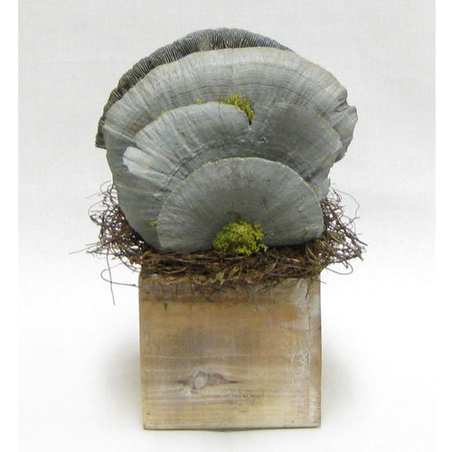 Wooden Cube Container Natural - Sponge Mushrooms Grey..