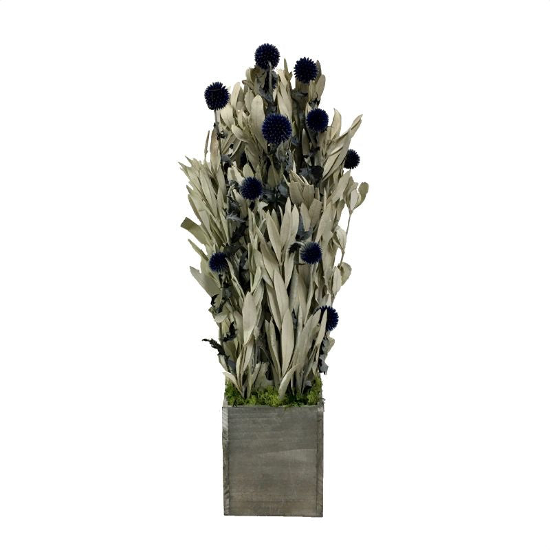 Wooden Tall Cube Container Grey Stain - Echinops Dark Blue & Integ
