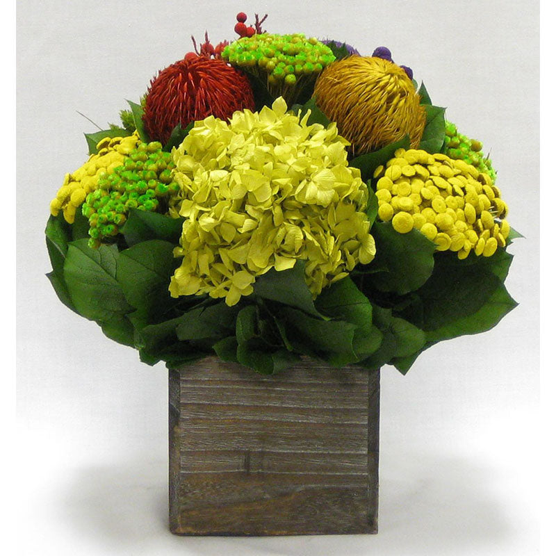Wooden Cube Container Brown Stain - Multicolor w/ Banksia, Brunia, Pharalis & Hydrangea Basil..