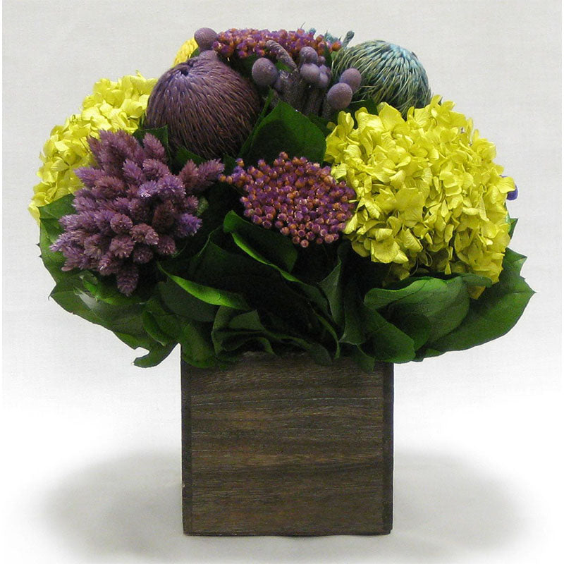 Wooden Cube Container Brown Stain - Violet Multicolor w/ Banksia, Brunia, Pharalis & Hydrangea Basil....