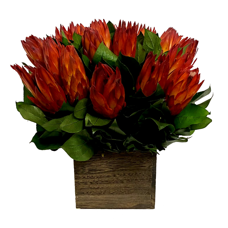 Wooden Cube Container Brown Stain - Protea Red