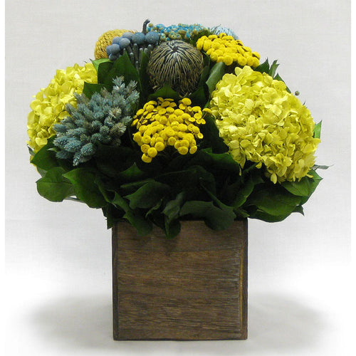 Wooden Cube Container Brown Stain  - Blue/Yellow Multicolor w/ Banksia, Brunia, Pharalis & Hydrangea Basil..