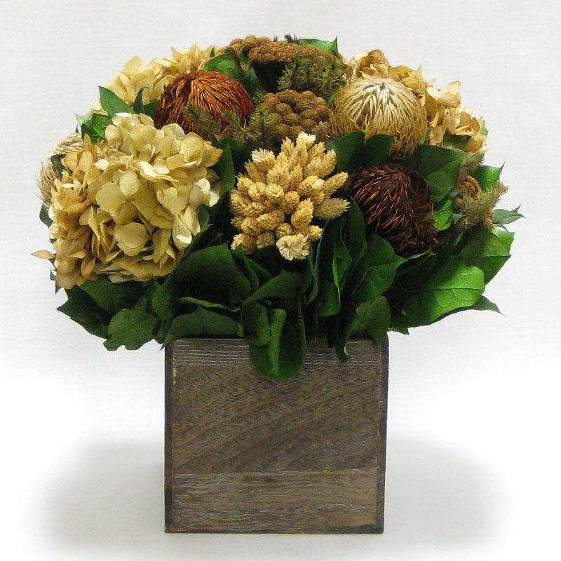 Wooden Cube Container Brown Stain - Brown & Natural Banksia, Brunia, Pharalis & Hydrangea Ivory & Light Brown..