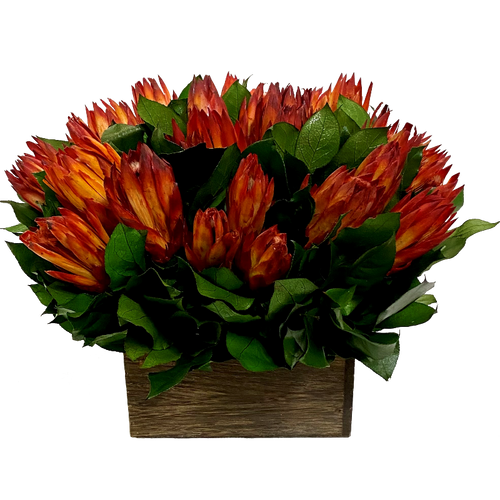 Wooden Short Container Brown Stain - Protea Red Orange