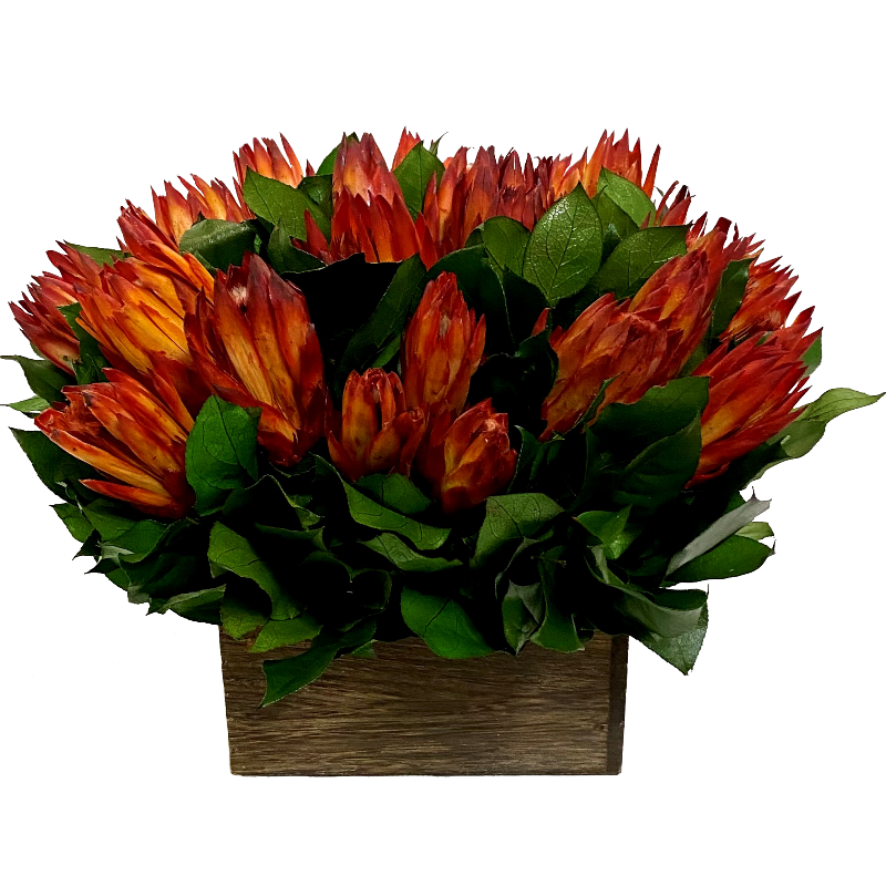 Wooden Short Container Brown Stain - Protea Red Orange