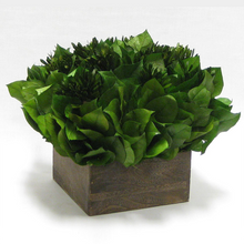 Load image into Gallery viewer, [WC73B-SAL] Wooden Short Container Brown Stain - Forest Tea &amp; Salal
