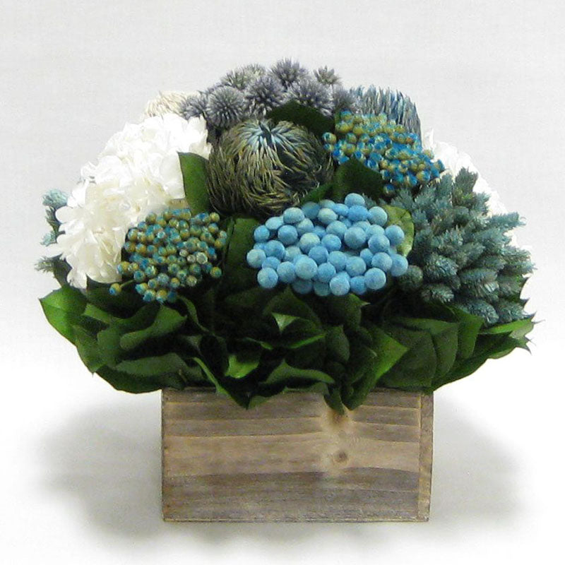 Wooden Short Container Whitewash Stain - Echinops w/ Banksia, Brunia, Pharalis & Hydrangea White..