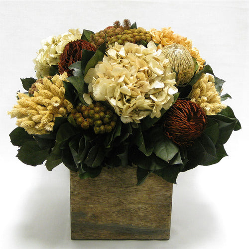 Wooden Cube Container Brown Stain - Brown & Natural Banksia, Brunia, Pharalis & Hydrangea Ivory & Light Brown..