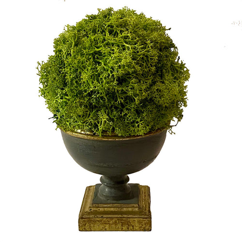 Small Wooden Footed Bowl Dark Blue Grey - Reindeer Moss Topiary Ball Basil
