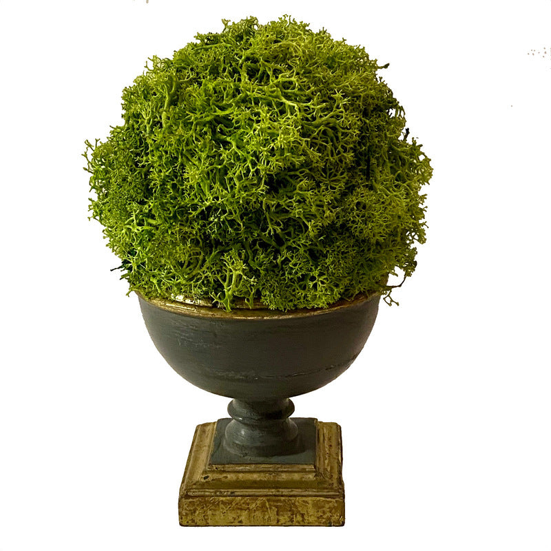 Small Wooden Footed Bowl Dark Blue Grey - Reindeer Moss Topiary Ball Basil