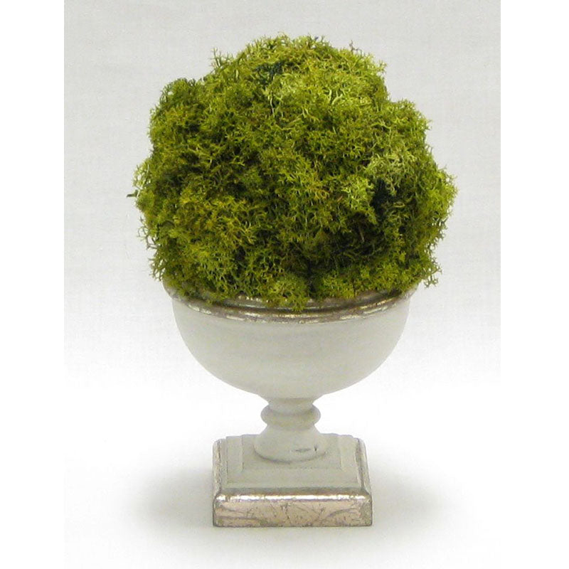 Small Wooden Footed Bowl Grey Silver - Reindeer Moss Topiary Ball Basil