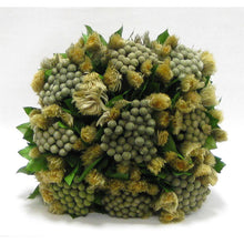Load image into Gallery viewer, [WMSP-GG-PSN] Wooden Mini Square Container Gray/Green - Brunia &amp; Phylicens Natural
