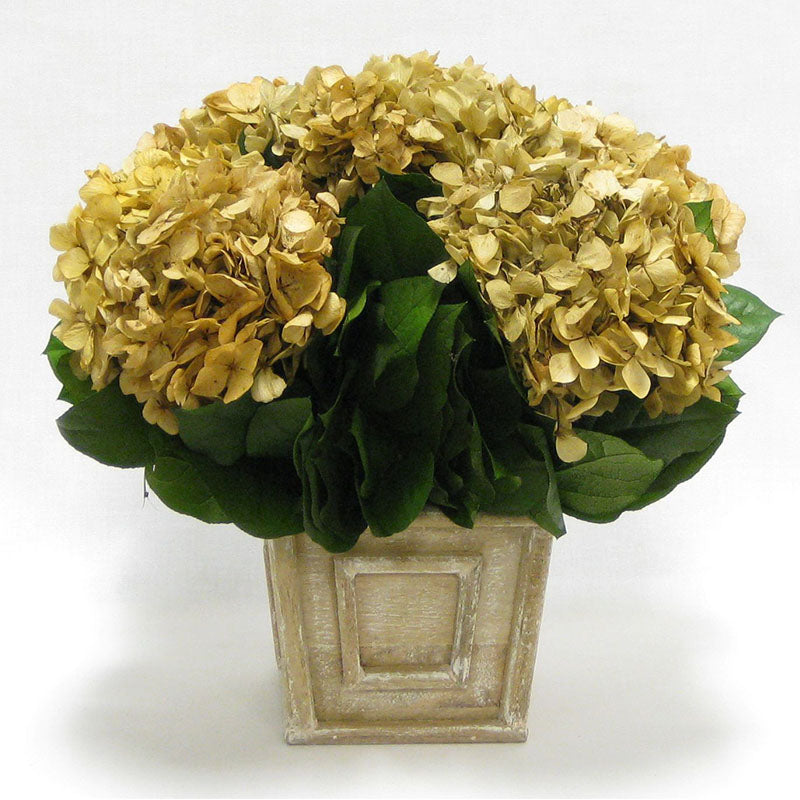 Wooden Weathered Antique Square Mini Container - Hydrangea Ivory