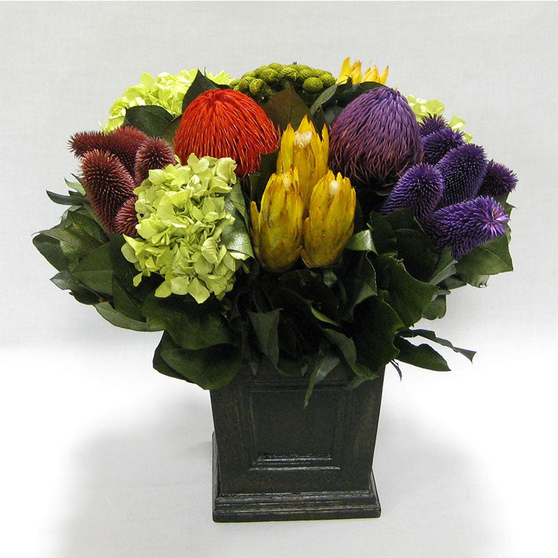 Wooden Mini Square Planter w/Inset Black Antique - Banksia Red, Purple, Yellow, Teasil Burgundy, Purple & Hydrangea Basil