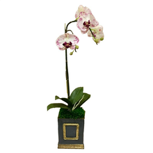 Load image into Gallery viewer, Wooden Mini Square Container Dark Blue Grey &amp; Gold - White &amp; Purple Orchid Artificial
