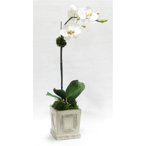 Wooden Small Square Container w/Inset Grey Silver - White & Green Two Spike Orchid Artificial