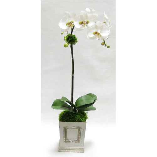 Wooden Small Square Container w/Inset Grey Silver - White & Green Orchid Artificial