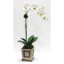 Load image into Gallery viewer, Wooden Small Square Container w/Inset Patina Distressed w/Bronze - White &amp; Green Orchid Artificial
