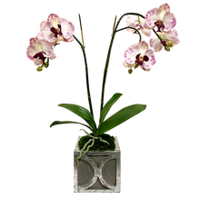 Load image into Gallery viewer, Wooden Mini Square Container w/ Circle Dark  Grey w/ Silver - Double Artificial Orchid White &amp; Purple