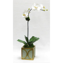 Load image into Gallery viewer, Wooden Mini Square Container w/ Half Circle Green &amp; Antique Gold - White &amp; Green Two Spike Orchid Artificial
