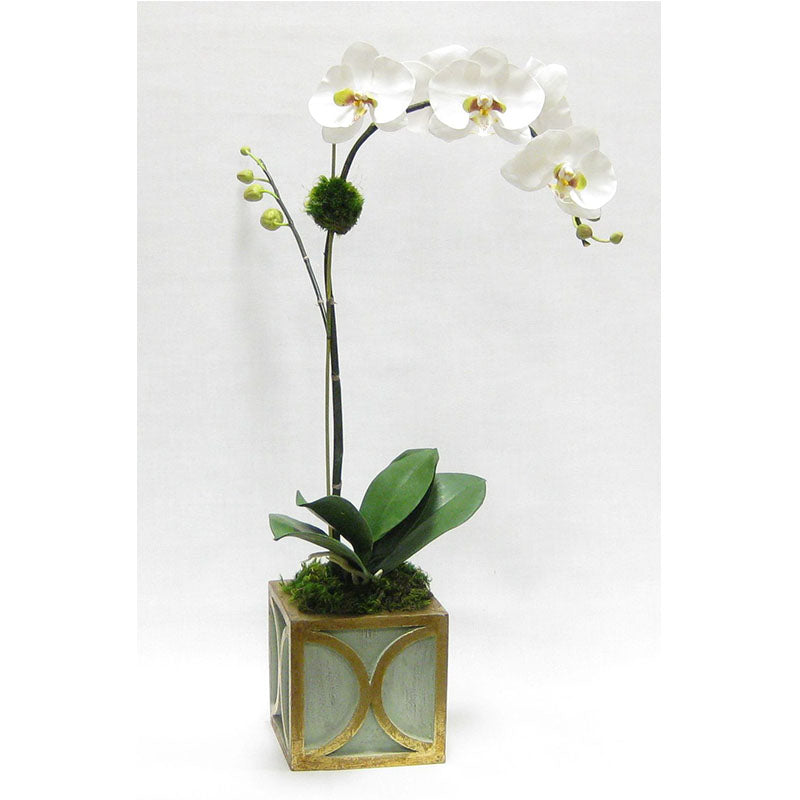 Wooden Mini Square Container w/ Half Circle Green & Antique Gold - White & Green Orchid Artificial