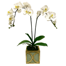 Load image into Gallery viewer, Wooden Mini Square Container w/ Half Circle Green &amp; Antique Gold - White &amp; Yellow Double Orchid Artificial