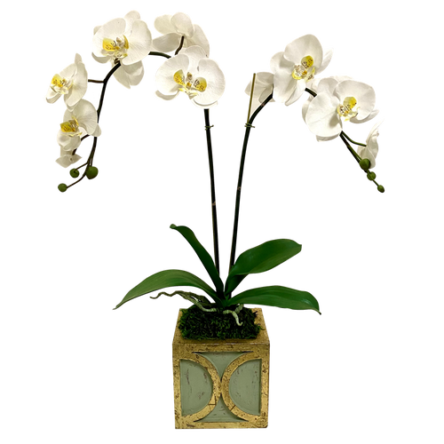 Wooden Mini Square Container w/ Half Circle Green & Antique Gold - White & Yellow Double Orchid Artificial