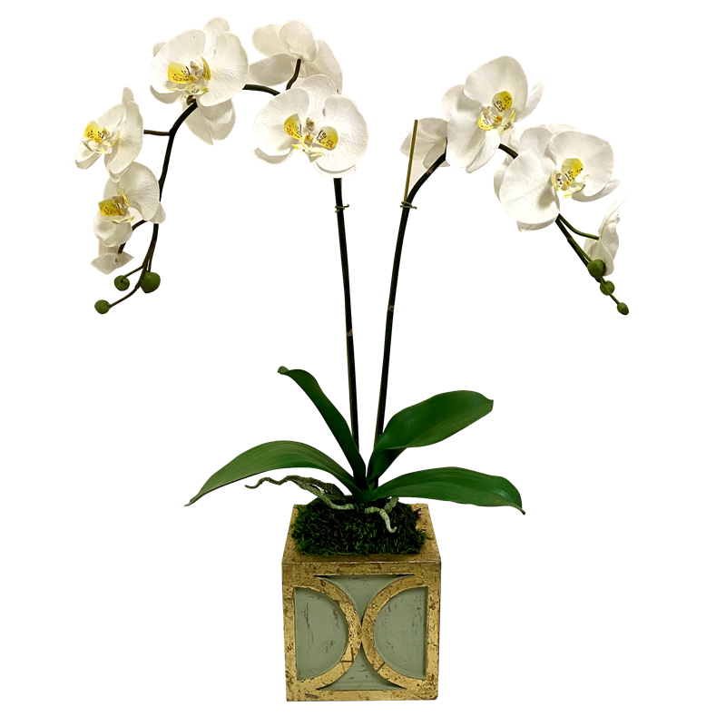 Wooden Mini Square Container w/ Half Circle Green & Antique Gold - White & Yellow Double Orchid Artificial