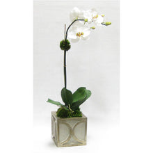 Load image into Gallery viewer, Wooden Mini Square Container w/ Half Circle Grey &amp; Antique Silver - White &amp; Green Two Spike Orchid Artificial
