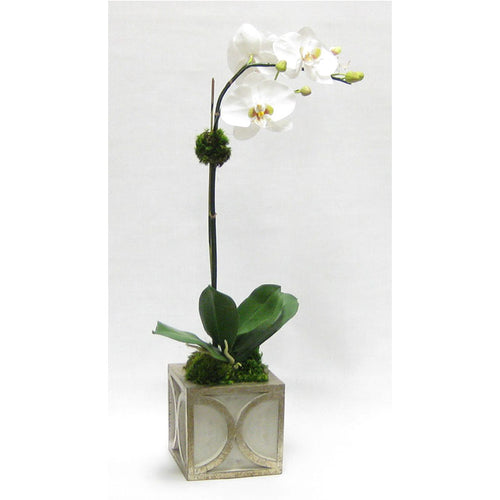 Wooden Mini Square Container w/ Half Circle Grey & Antique Silver - White & Green Two Spike Orchid Artificial
