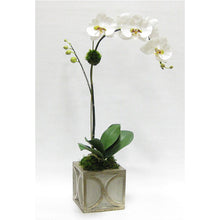 Load image into Gallery viewer, Wooden Mini Square Container w/ Half Circle Grey &amp; Antique Silver - White &amp; Green Orchid Artificial
