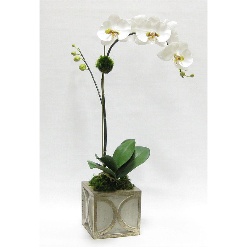 Wooden Mini Square Container w/ Half Circle Grey & Antique Silver - White & Green Orchid Artificial